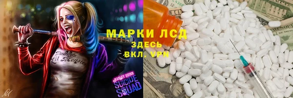 прущие грибы Елабуга