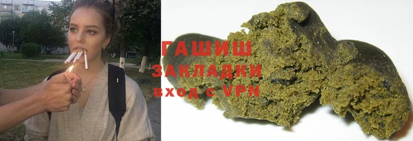 прущие грибы Елабуга