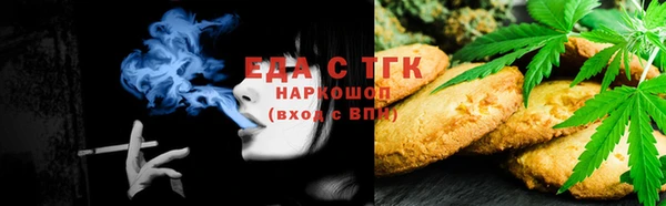 прущие грибы Елабуга