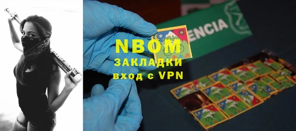 ешки Ельня