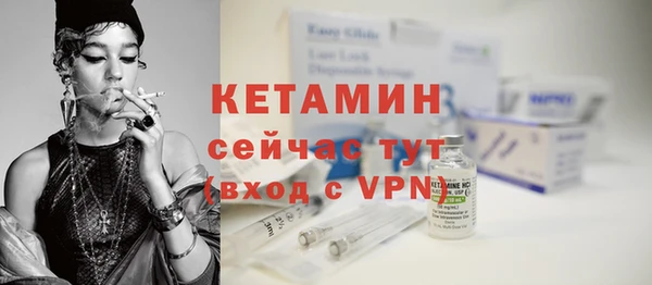 прущие грибы Елабуга