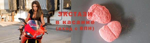 прущие грибы Елабуга