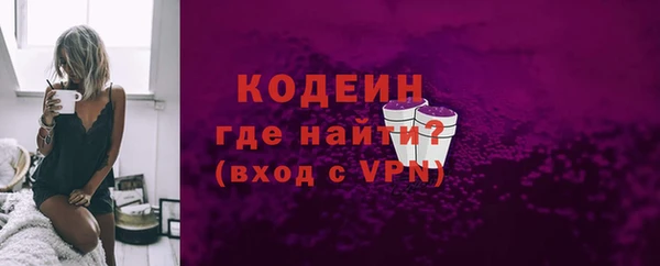 прущие грибы Елабуга