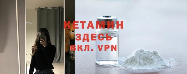 прущие грибы Елабуга