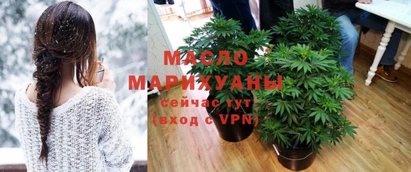 ешки Ельня
