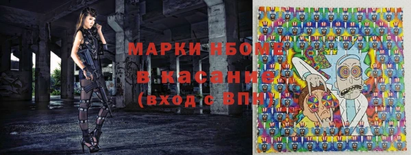 прущие грибы Елабуга