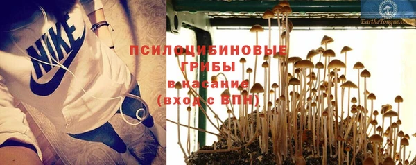 ешки Елизово