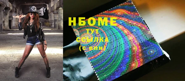 прущие грибы Елабуга