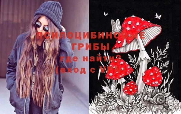 ешки Ельня