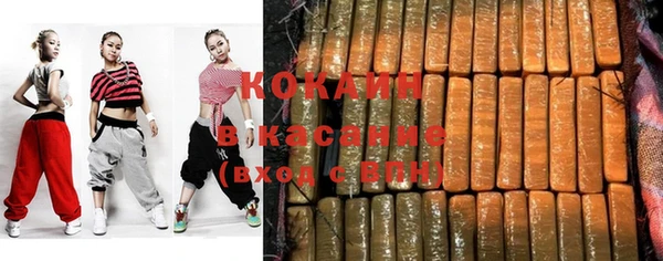 прущие грибы Елабуга