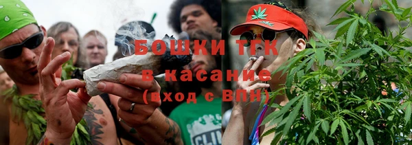 прущие грибы Елабуга