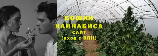 прущие грибы Елабуга