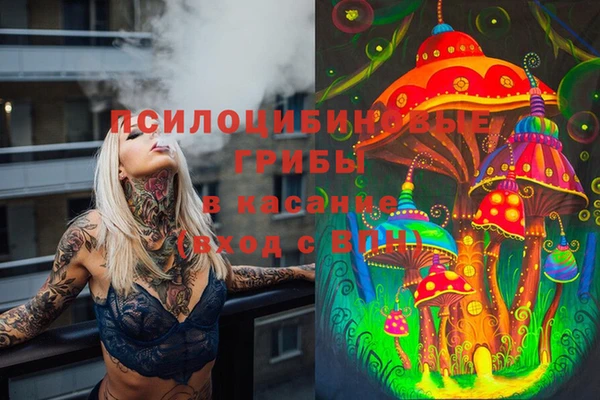 ешки Ельня